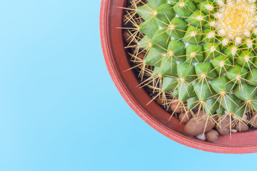 Similar image 22154891