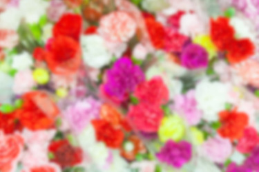 Similar image 22154896