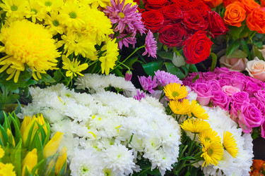 Similar image 22154899