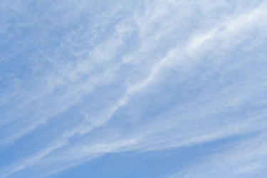 Similar image 22154912