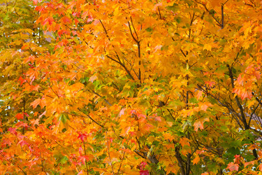 Similar image 22154918