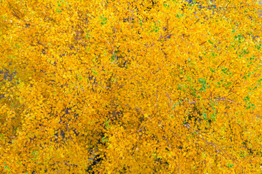 Similar image 22154920