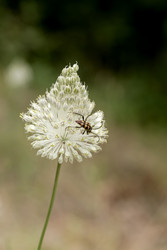 Similar image 22153446