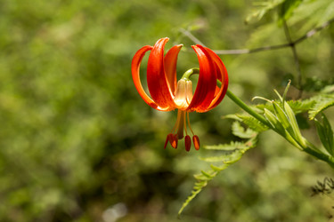 Similar image 22153450