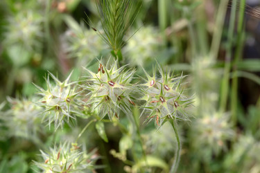 Similar image 22153451