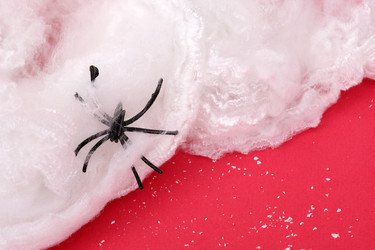 Similar image 22153062