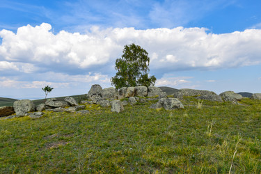 Similar image 22155438