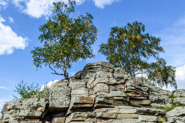 Similar image 22155439