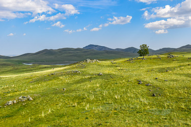 Similar image 22155441