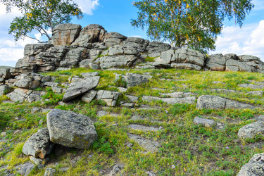 Similar image 22155442