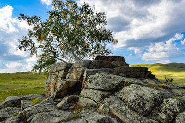 Similar image 22155443