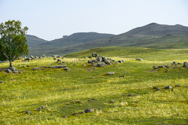 Similar image 22155444