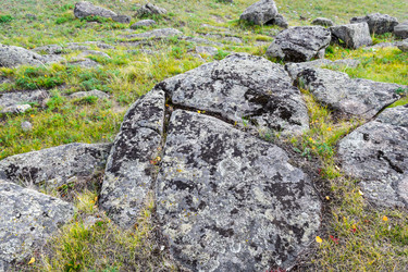 Similar image 22155446