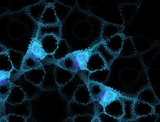 Similar image 22165214