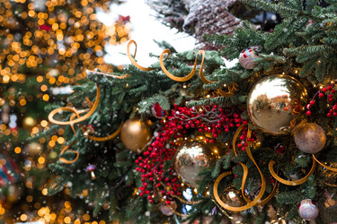 Similar image 22158763