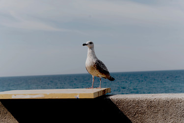 Similar image 22158092