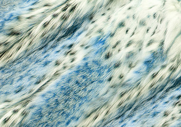 Similar image 22153095