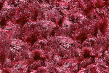 Similar image 22153100