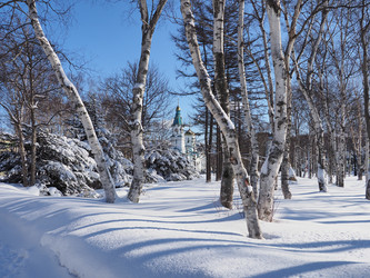 Similar image 22155453