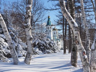 Similar image 22155454