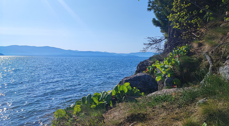 Similar image 22153665