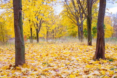 Similar image 22154923