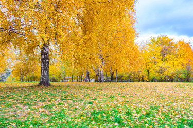 Similar image 22154924