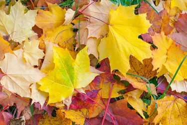 Similar image 22154930