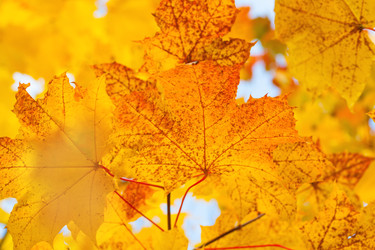 Similar image 22154931