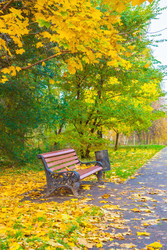 Similar image 22154934