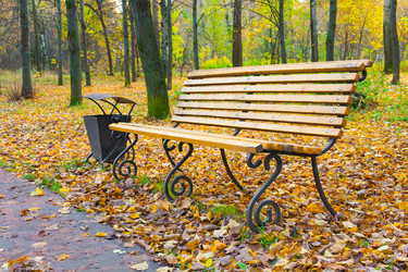 Similar image 22154935