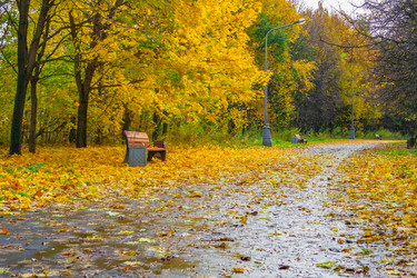 Similar image 22154936