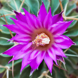 Similar image 22154938