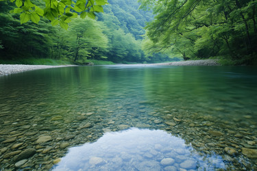 Similar image 22153682