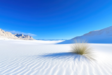 Similar image 22153686