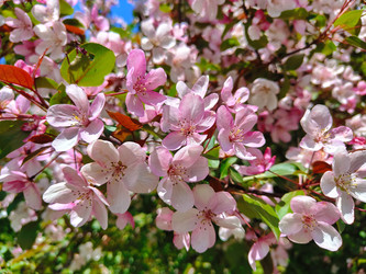 Similar image 22153151