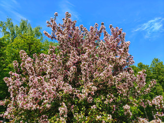 Similar image 22153152