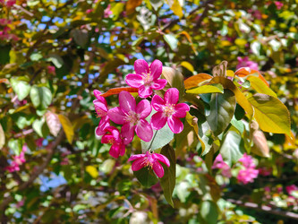 Similar image 22153153