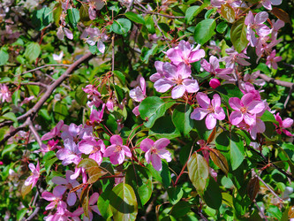 Similar image 22153154