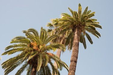 Similar image 22161318