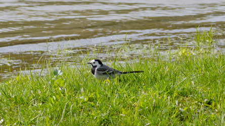 Similar image 22153705