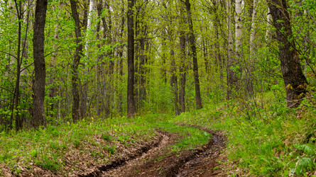 Similar image 22153708