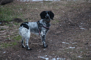 Similar image 22158667