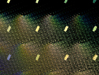 Similar image 22161068