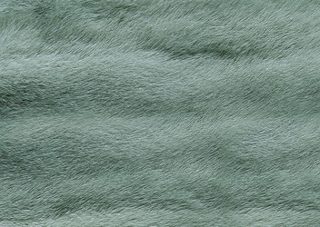 Similar image 22153713