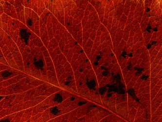 Similar image 22153714