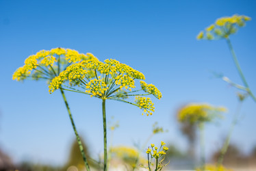 Similar image 22164024