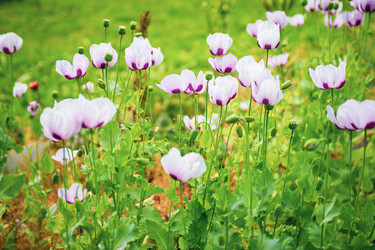 Similar image 22156406