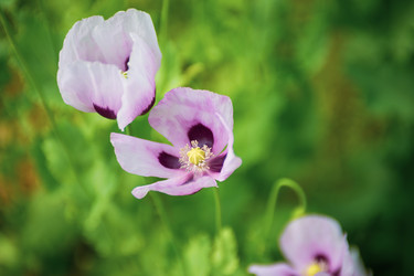 Similar image 22156408