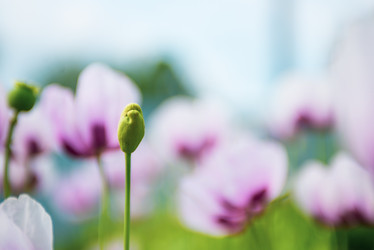 Similar image 22156410